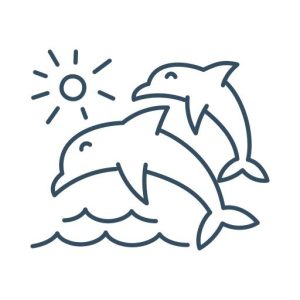 See Dolphin Excursions