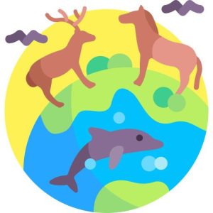 WILDLIFE SAFTY earth
