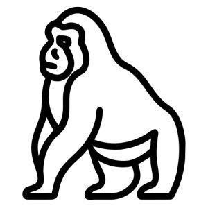 animal