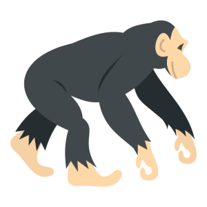 animal