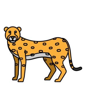 animal