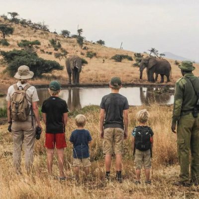 family Safari