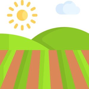 field