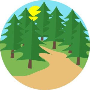 forest road