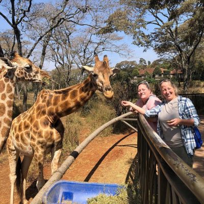 giraffe-centre