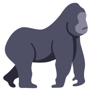 gorilla