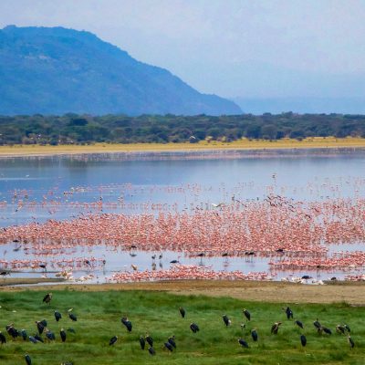 lake-manyara-1