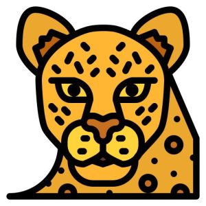 leopard