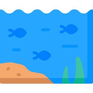 ocean