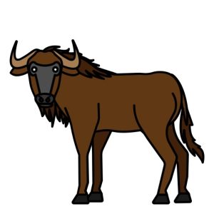 wildbeest animal
